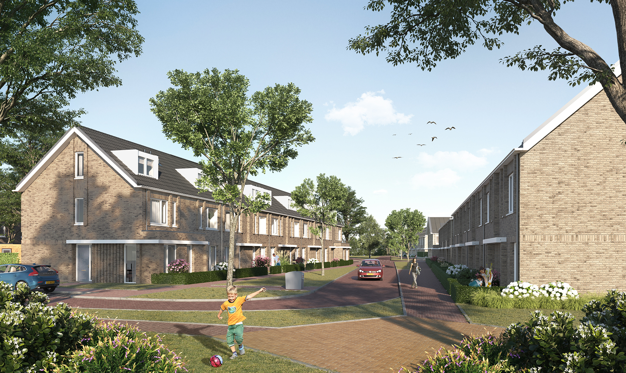 Europarei Ooghoogte 2 LR 20190411